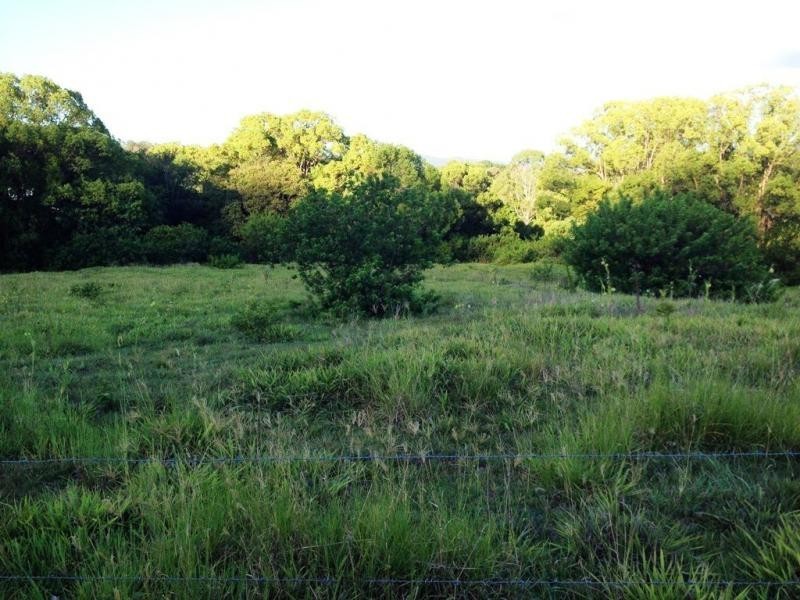 392 Perwillowen Road, Nambour QLD 4560