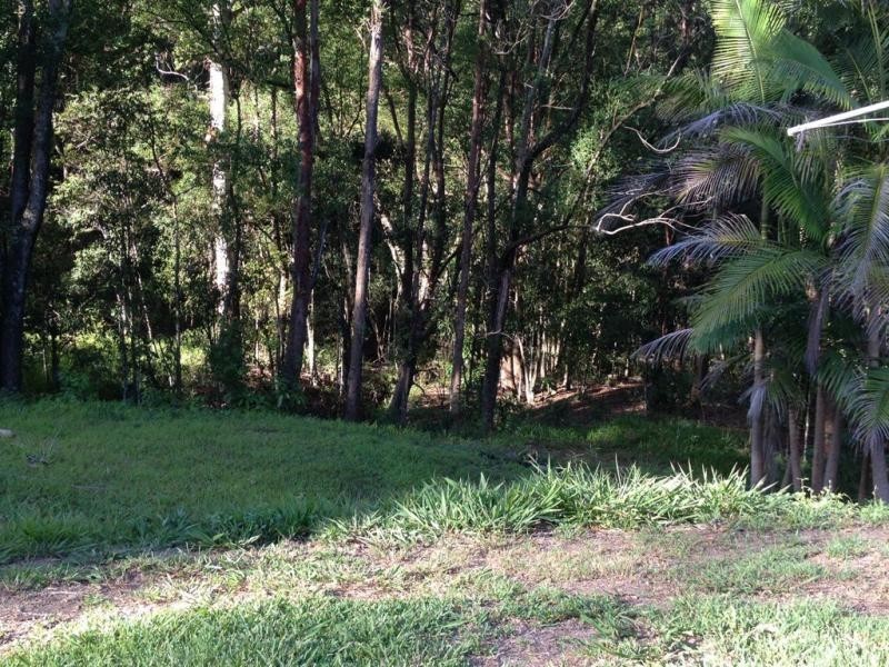 392 Perwillowen Road, Nambour QLD 4560