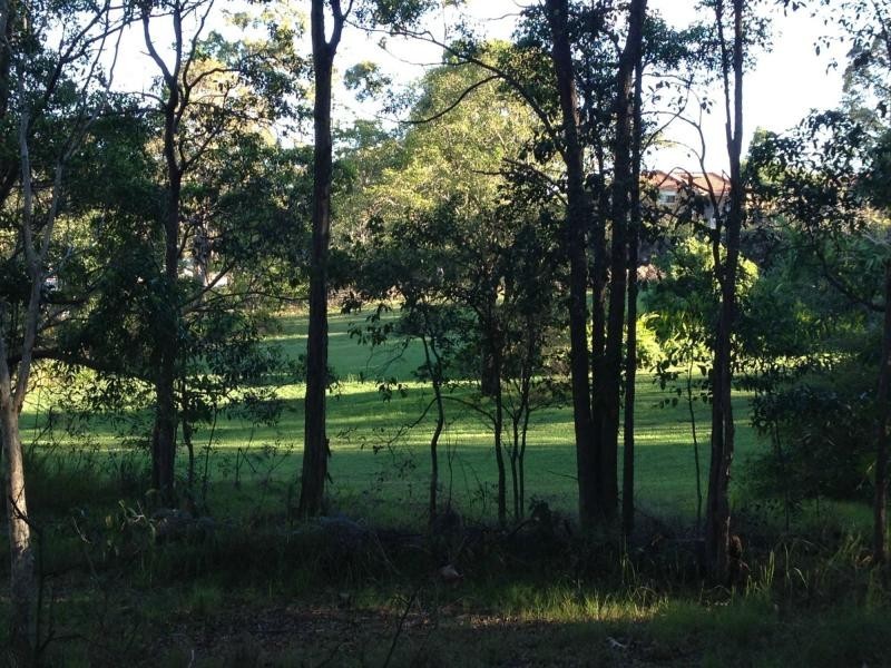 Little Mountain QLD 4551