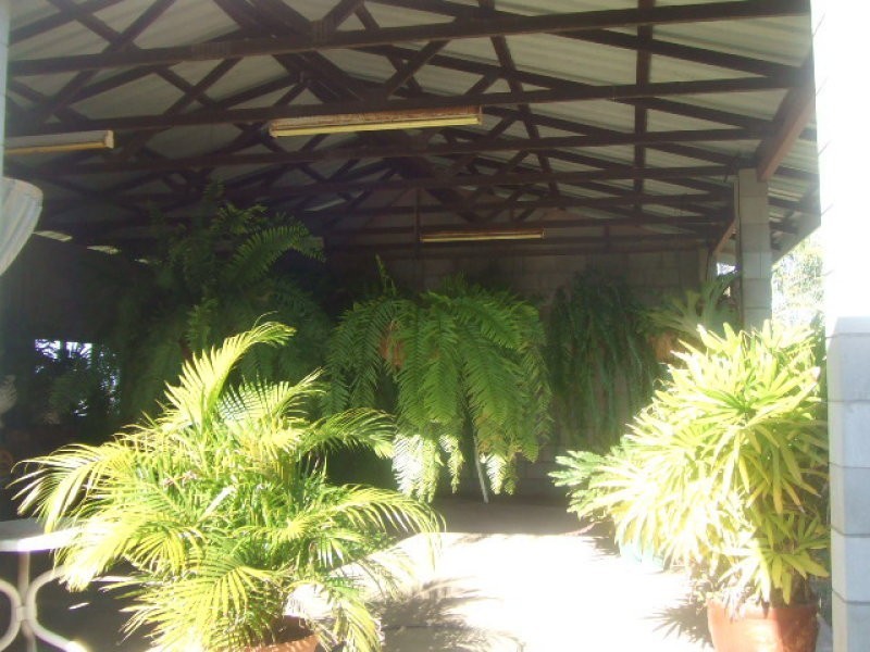 Rita Island QLD 4807