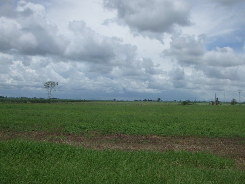 Jarvisfield QLD 4807