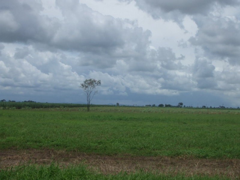 Jarvisfield QLD 4807