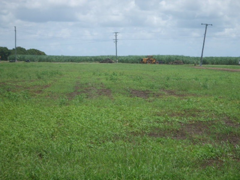 Jarvisfield QLD 4807