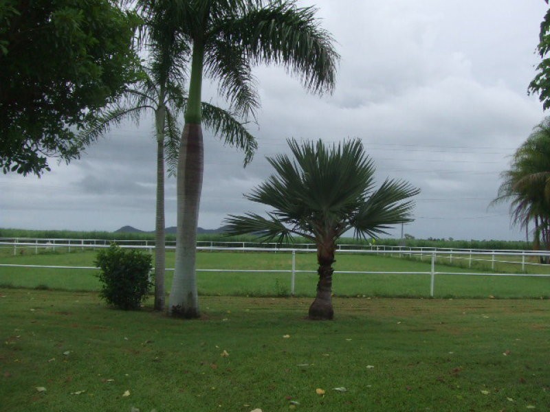 Home Hill QLD 4806