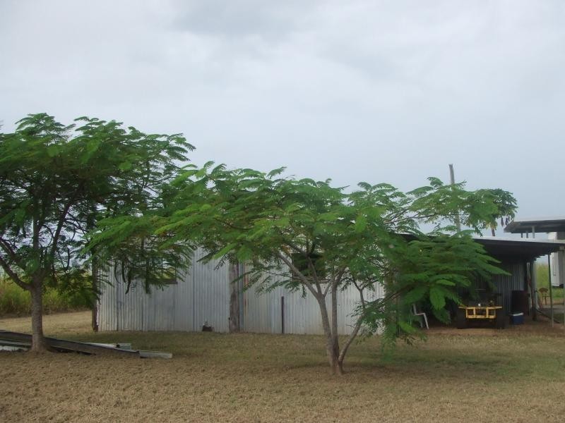 Rita Island QLD 4807