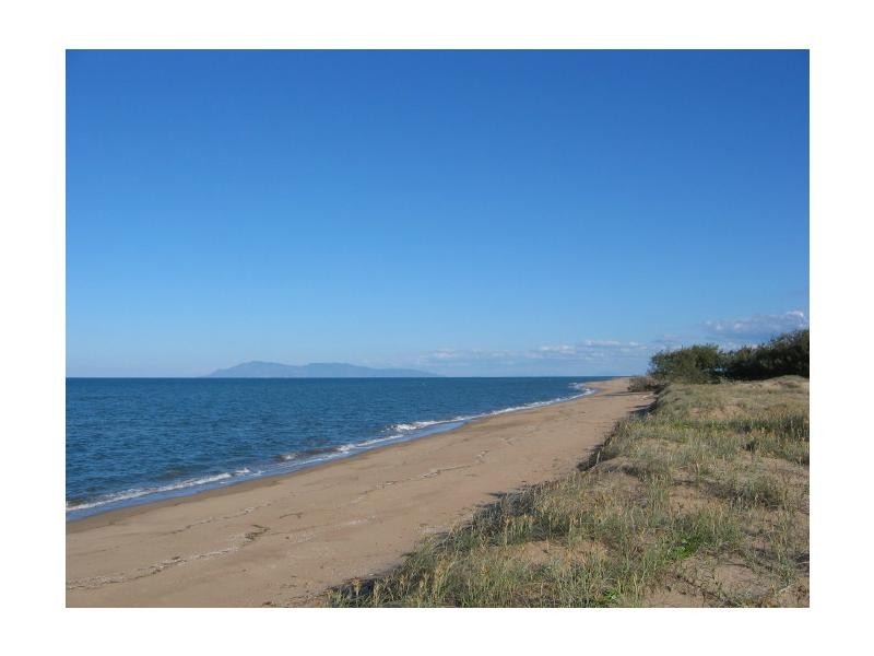 Jarvisfield QLD 4807