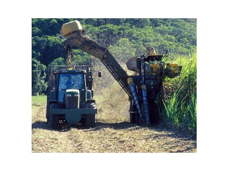 Kirknie QLD 4806