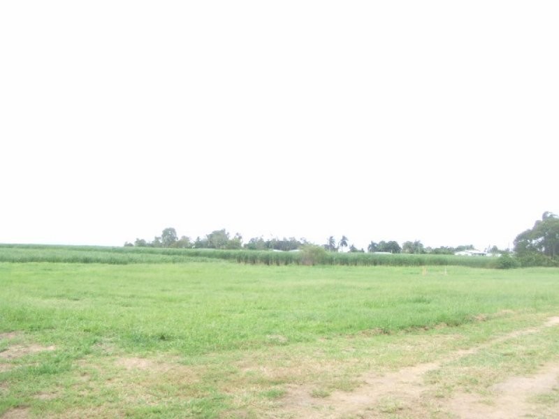 Brandon QLD 4808