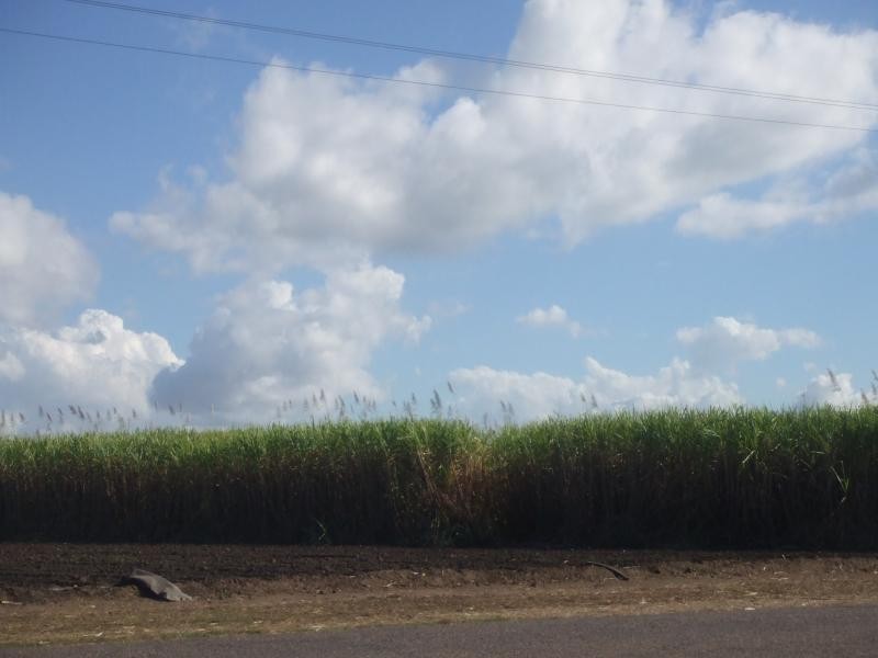 Ayr QLD 4807