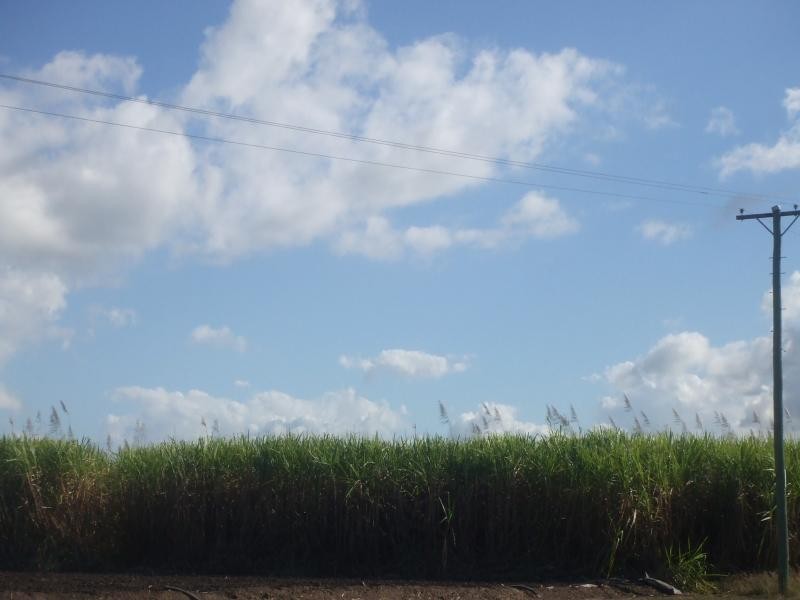 Ayr QLD 4807