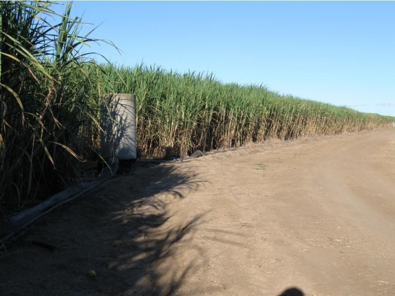 Fredericksfield QLD 4806