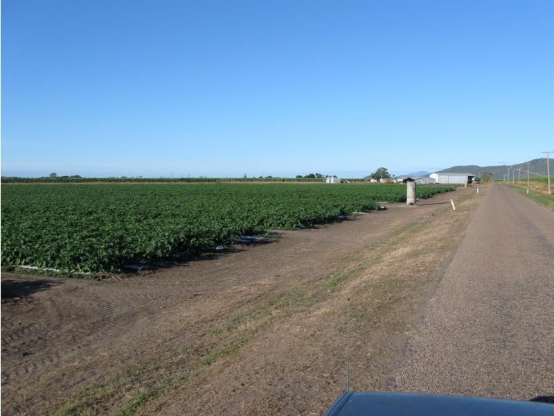 Fredericksfield QLD 4806