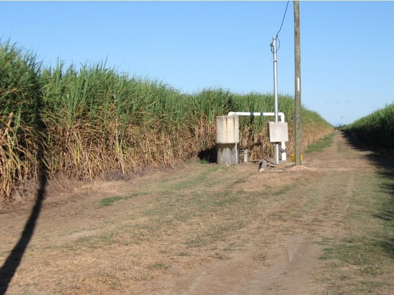 Fredericksfield QLD 4806