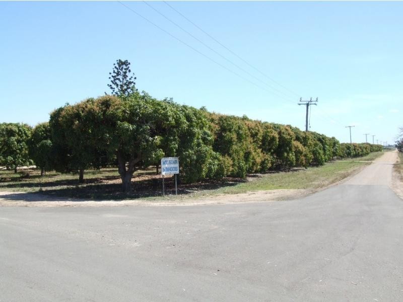 Fredericksfield QLD 4806
