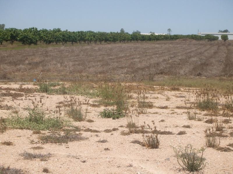 Horseshoe Lagoon QLD 4809
