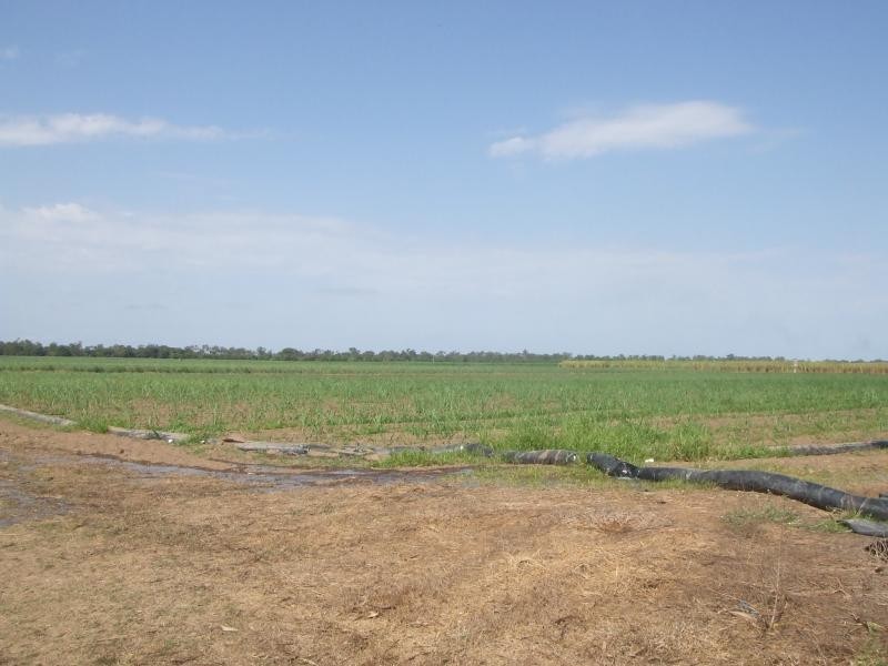 Rita Island QLD 4807