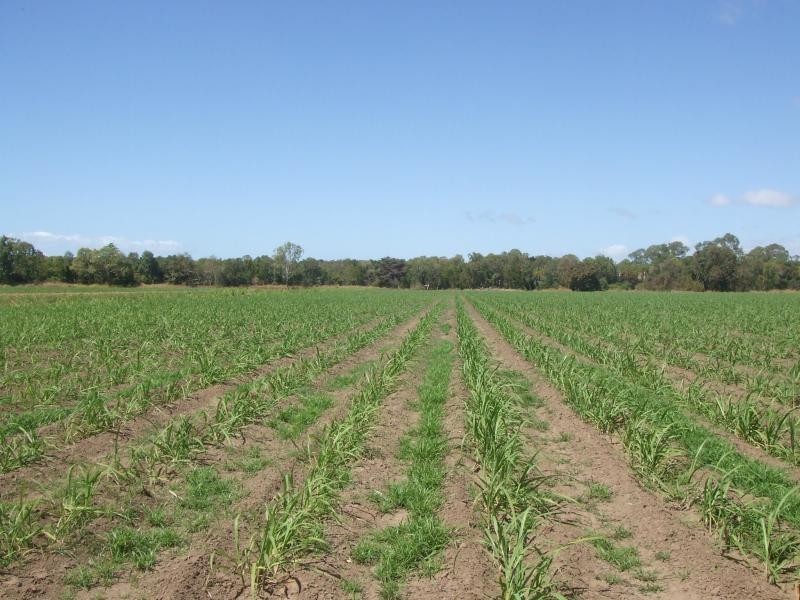 Jarvisfield QLD 4807