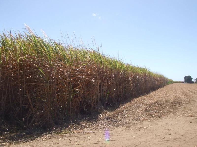 Jarvisfield QLD 4807