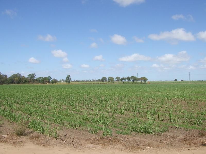 Jarvisfield QLD 4807