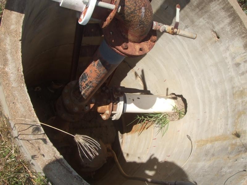 Jarvisfield QLD 4807