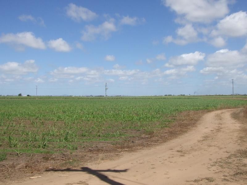 Jarvisfield QLD 4807