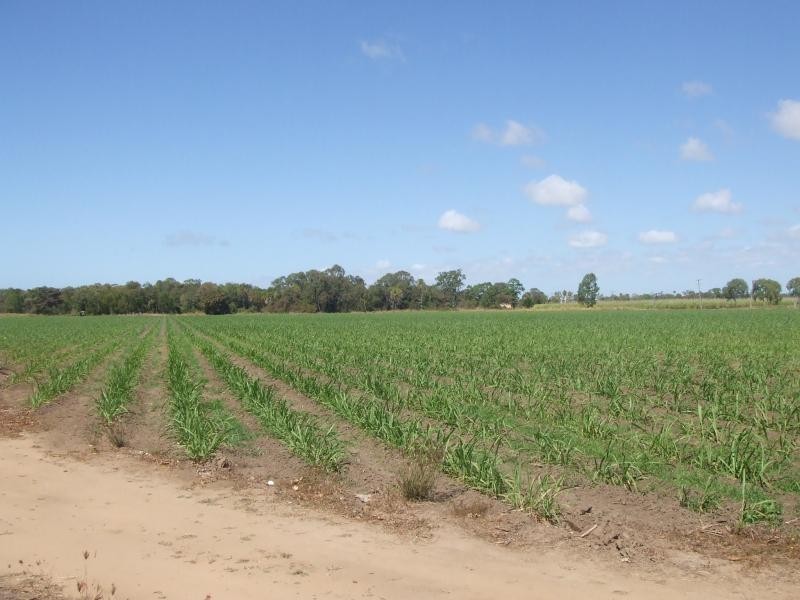 Jarvisfield QLD 4807