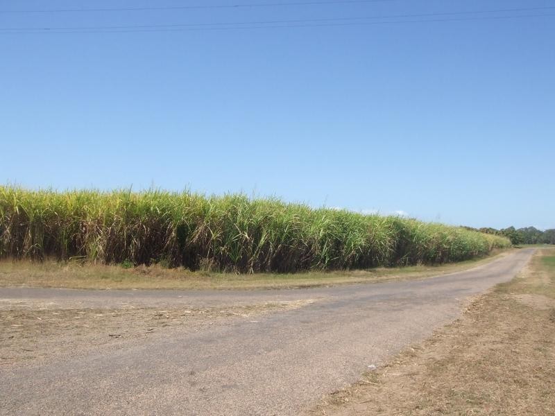 Jarvisfield QLD 4807