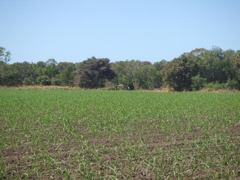 Jarvisfield QLD 4807