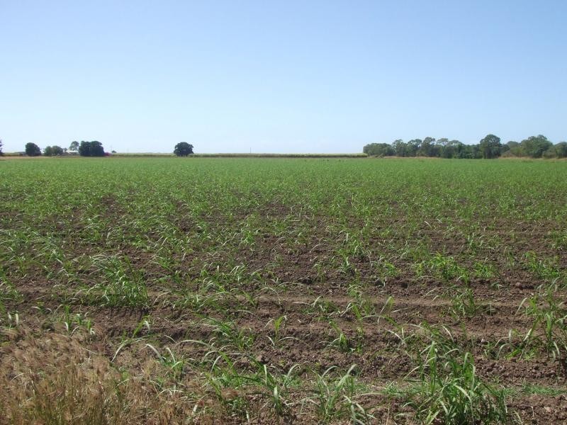 Jarvisfield QLD 4807