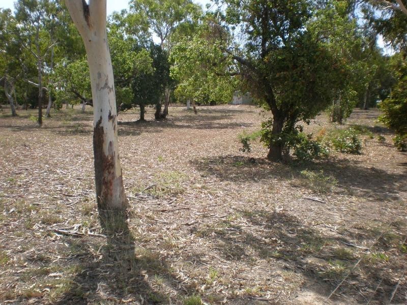 270 Wilson Road, Jarvisfield QLD 4807