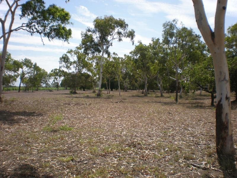 270 Wilson Road, Jarvisfield QLD 4807