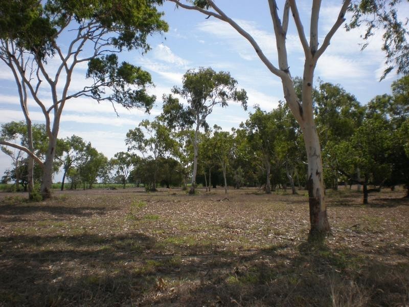 270 Wilson Road, Jarvisfield QLD 4807