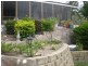 174 Mt Kelly Drive, Mount Kelly QLD 4807