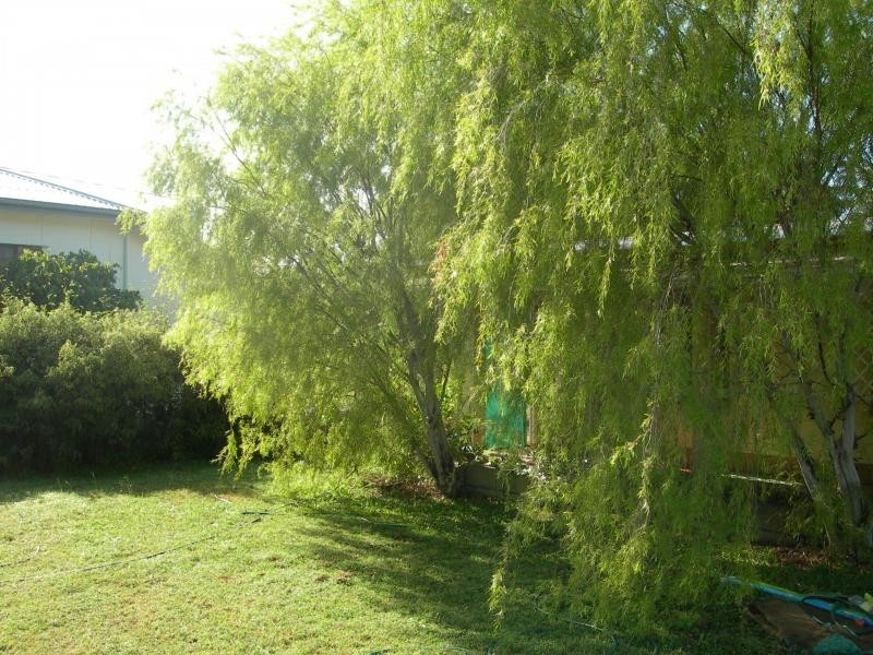 Ayr QLD 4807