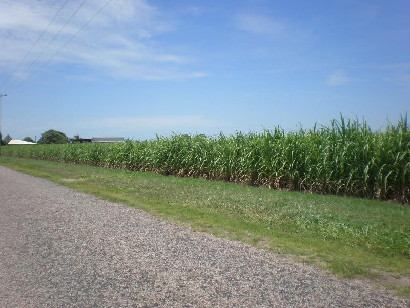 Ayr QLD 4807
