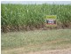 Ayr QLD 4807