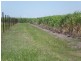 Ayr QLD 4807
