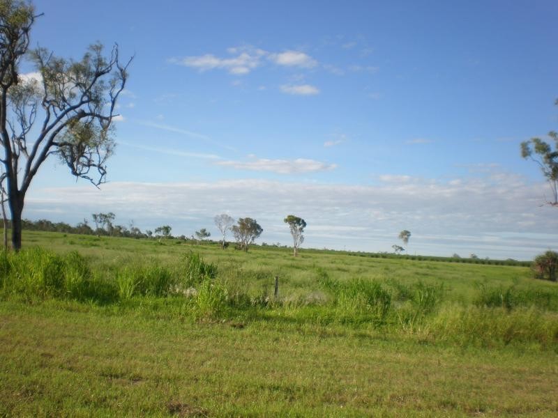 Barratta QLD 4809