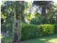 Brandon QLD 4808