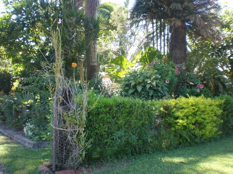 Brandon QLD 4808