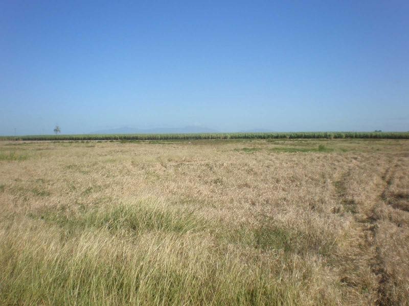 189 Craig Street, Ayr QLD 4807