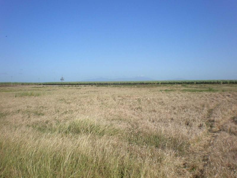 189 Craig Street, Ayr QLD 4807