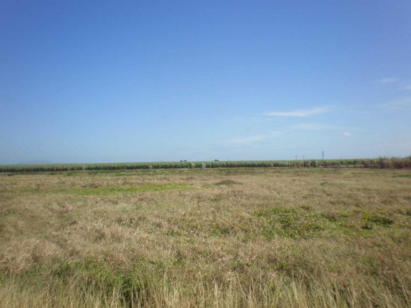 189 Craig Street, Ayr QLD 4807