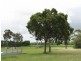Ayr QLD 4807