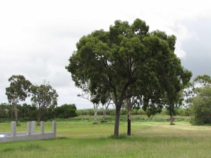 Ayr QLD 4807