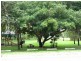 Ayr QLD 4807