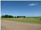 Jarvisfield QLD 4807