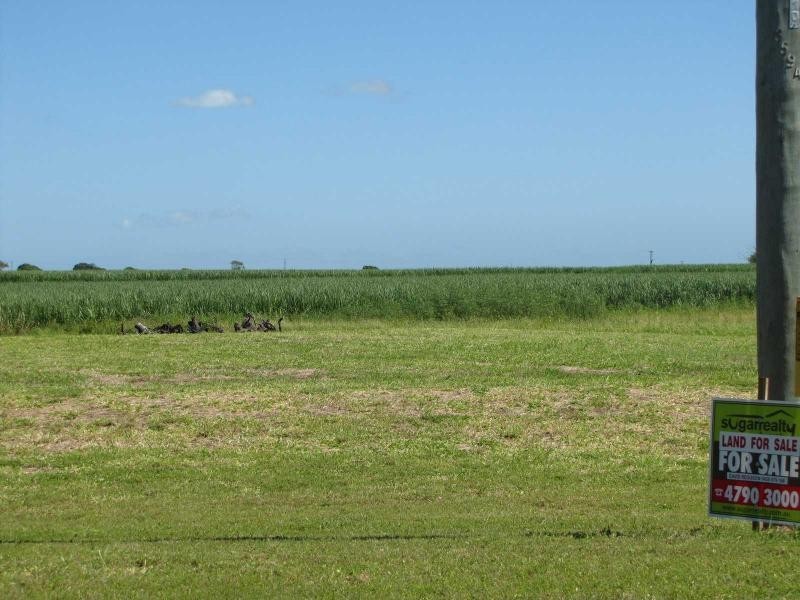 Jarvisfield QLD 4807