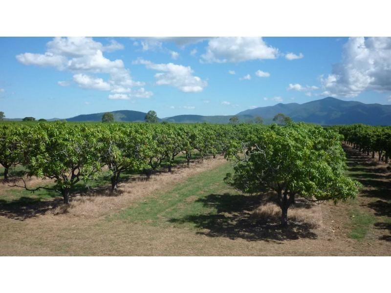 Horseshoe Lagoon QLD 4809