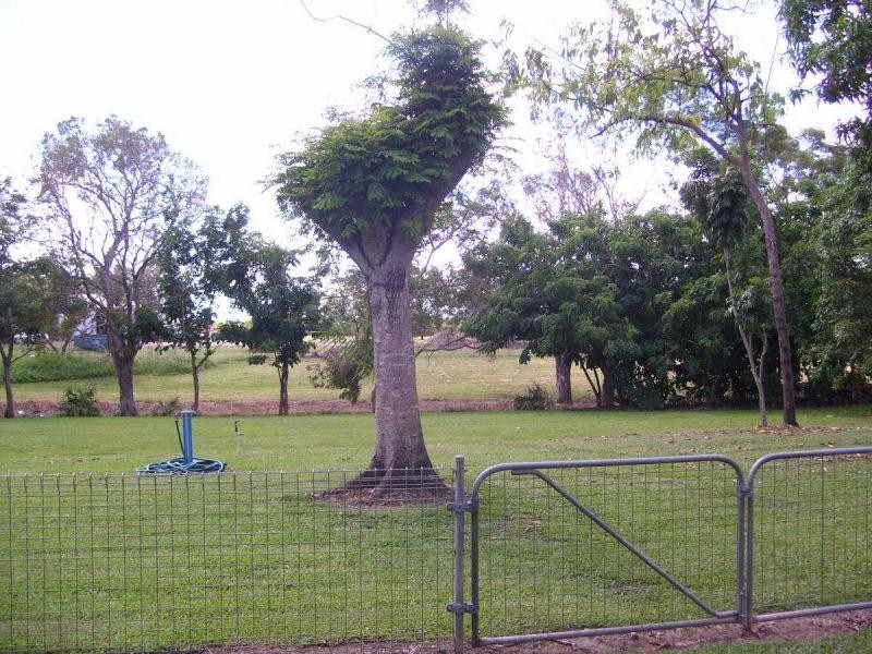 Home Hill QLD 4806